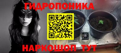каннабис Сланцы