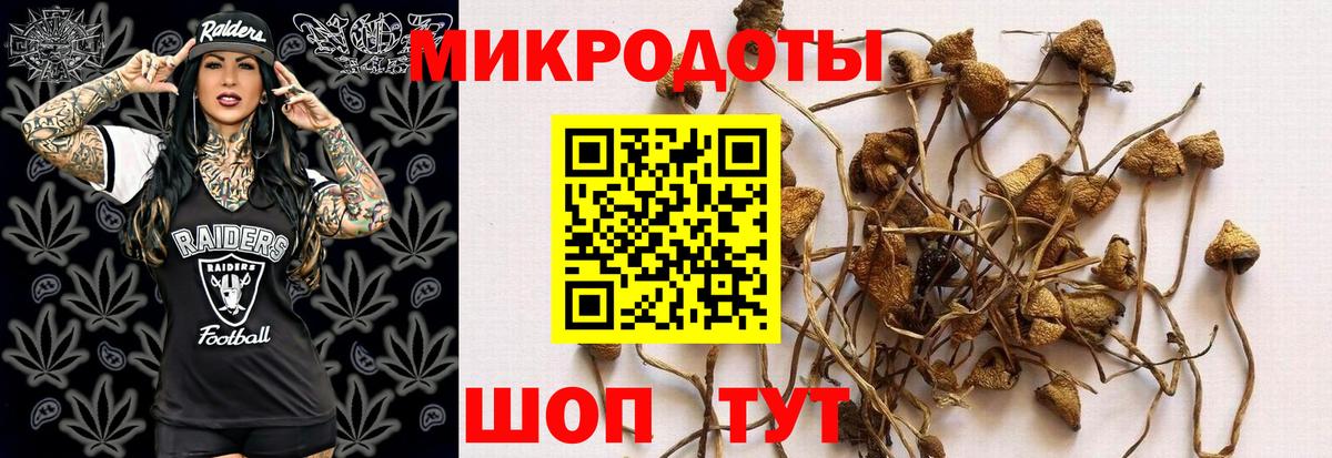 Галлюциногенные грибы Magic Shrooms Ржев